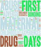 Int J High Risk Behav Addict